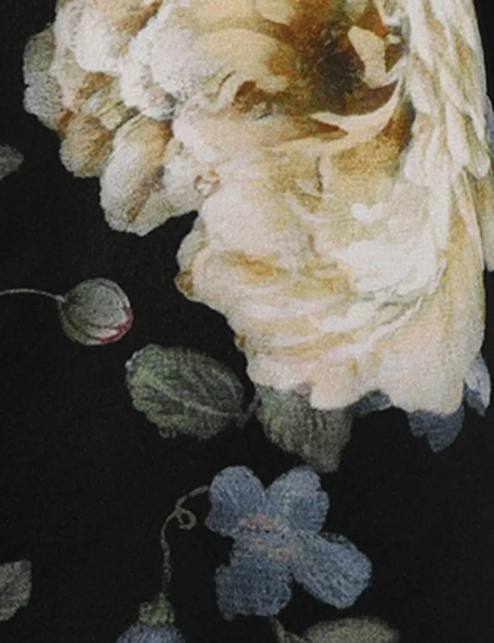 Store ZIMMERMANN Luminosity Blouson Shirt